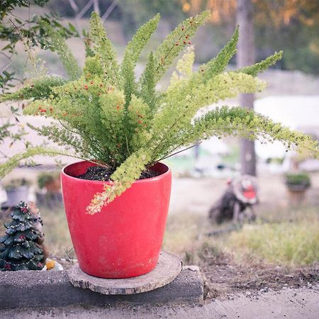 Villa Chetrus Casa En Plena Naturaleza Rubí Dış mekan fotoğraf